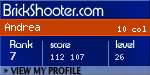 BrickShooter Online