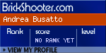 BrickShooter Online