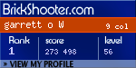 BrickShooter Online