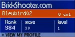 BrickShooter Online