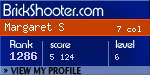 BrickShooter Online