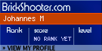 BrickShooter Online