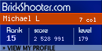 BrickShooter Online
