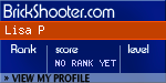 BrickShooter Online
