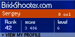 BrickShooter Online